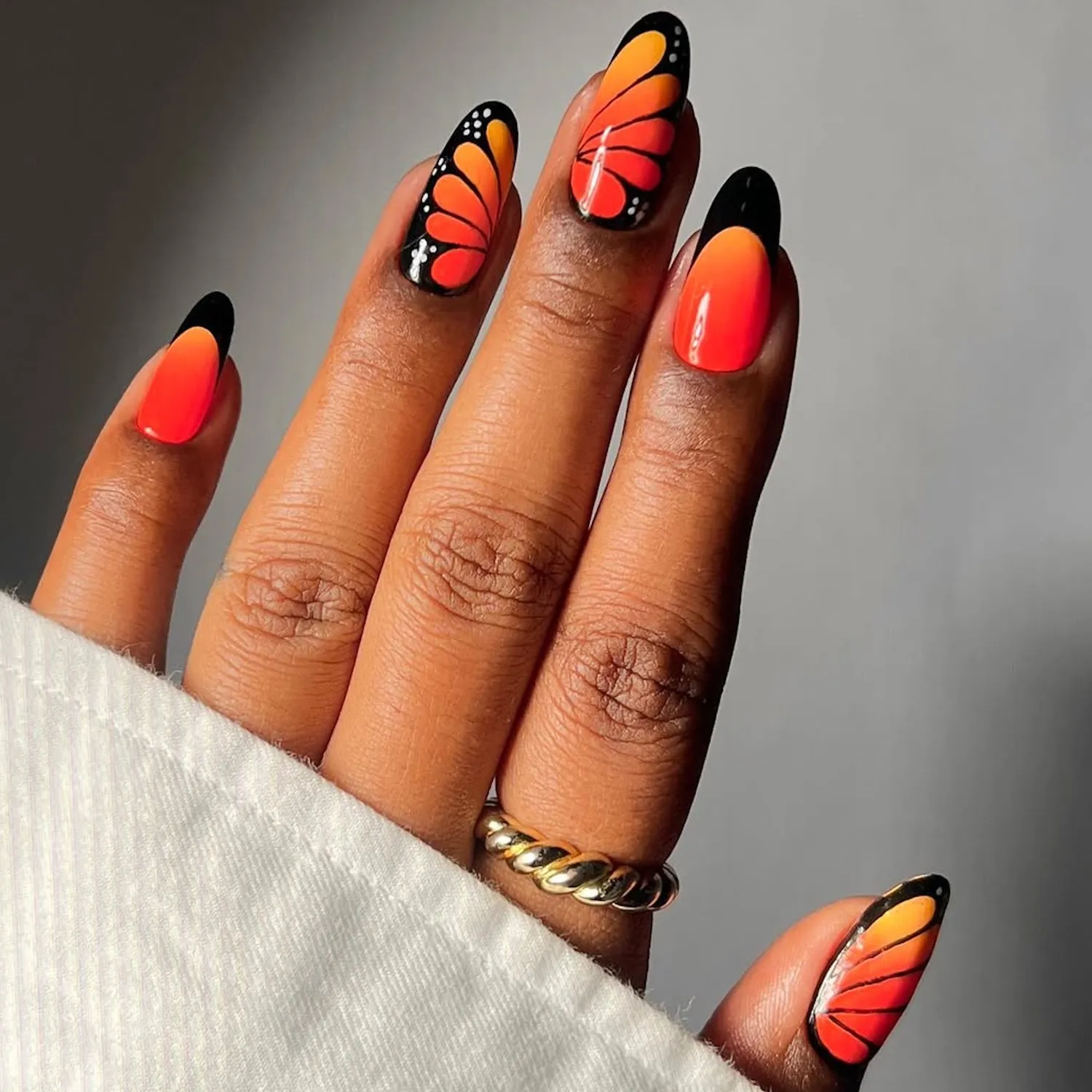 Monarch Butterflies